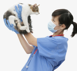 生病的人矢量图小猫兽医高清图片