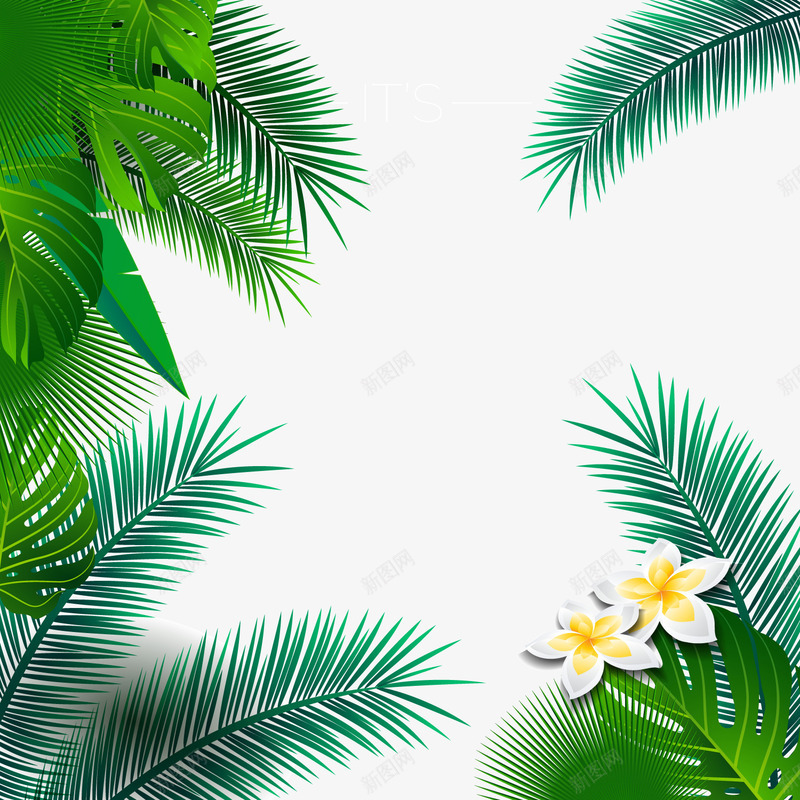 夏季热带棕榈树叶框架png免抠素材_88icon https://88icon.com 卡通植物 棕榈树叶 绿色叶子 背景装饰