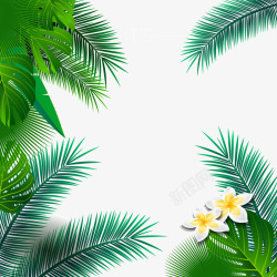 棕榈叶边框夏季热带棕榈树叶框架高清图片