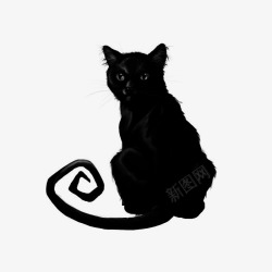 黑色猫图素材