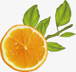 新鲜的鲜橙汁矢量图素材