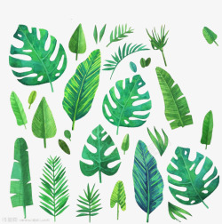 绿色植物图标绿色植物叶子装饰图标高清图片