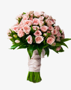 高清免费png一束粉色玫瑰花高清图片