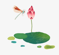 春游荷花和蜻蜓手绘插画高清图片