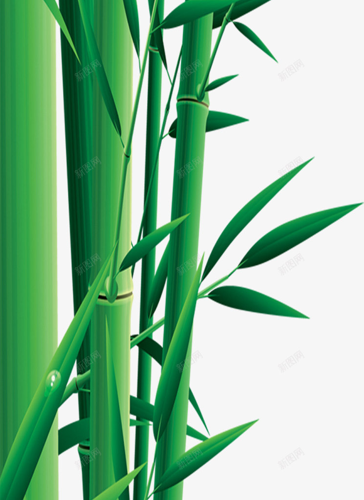 端午节竹子竹叶绿叶png免抠素材_88icon https://88icon.com 端午节 竹叶 竹子 绿叶