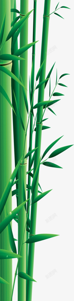 端午节竹子竹叶绿叶素材