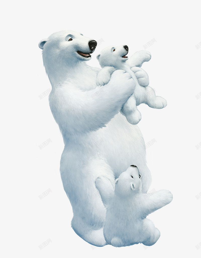 北极熊一家png免抠素材_88icon https://88icon.com 北极动物 北极熊 北极熊png 北极熊一家 北极熊免抠 玩耍 白熊 白色毛皮