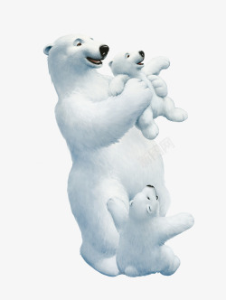毛皮北极熊一家高清图片