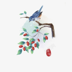 手绘喜鹊红枣树素材
