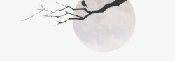 镙戣嫍唯美月亮下树枝小鸟剪影高清图片