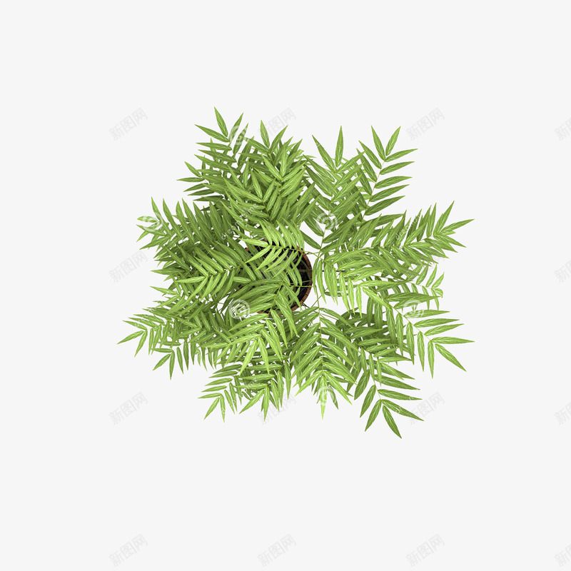 俯视树花png免抠素材_88icon https://88icon.com ps植物平面贴图 俯视树 俯视树木 底纹 树俯视 树俯视图 植物花卉 海报底纹 海报设计 花