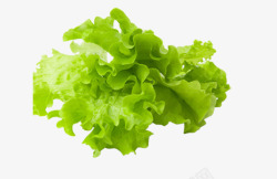 生菜生菜生鲜蔬菜高清图片