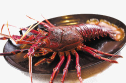 澳洲龙虾宴澳洲大龙虾高清图片
