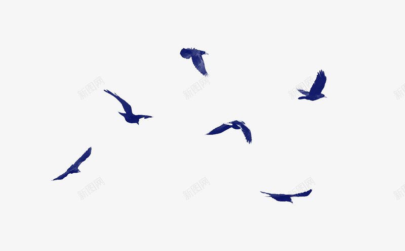 漂浮飞鸟装饰png免抠素材_88icon https://88icon.com 漂浮 蓝色 装饰 设计 飞鸟
