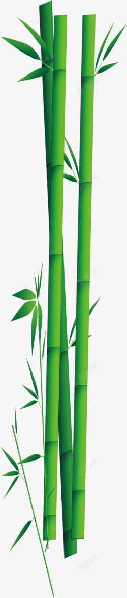 端午节竹子竹叶竹筒素材