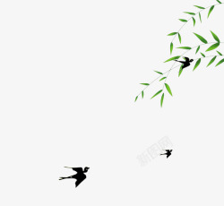 春季绿色的柳叶飞翔的燕子素材