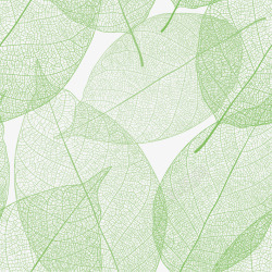 清新绿植树叶清新树叶纹理底纹矢量图高清图片