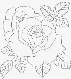 描稿手绘花卉玫瑰线稿图高清图片