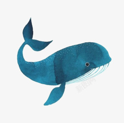 蓝鲸鲸鱼高清图片