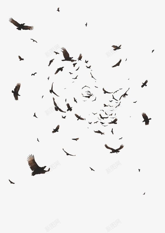 飞翔的乌鸦png免抠素材_88icon https://88icon.com 乌鸦 乌鸦图案 乌鸦飞过 创意 唯美 百鸟图 设计感 鸟群 黑色