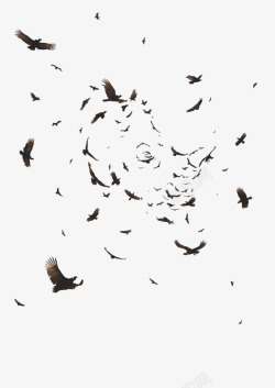 唯美雪花图案飞翔的乌鸦高清图片