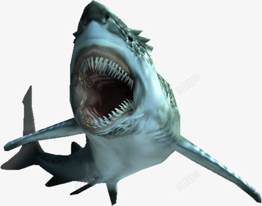 张口的鲨鱼png免抠素材_88icon https://88icon.com 凶猛 张口 跳跃的鲨鱼 鱼 鲨鱼 鲨鱼头像