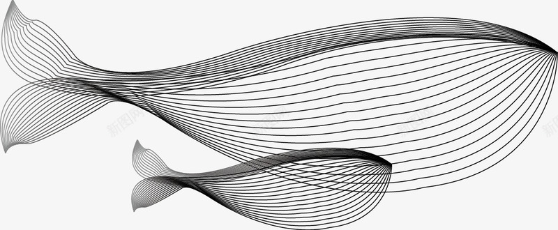 AI混合模式鲸鱼大小png免抠素材_88icon https://88icon.com AI 大小 比大小 素描鲸鱼 线条 鲸鱼