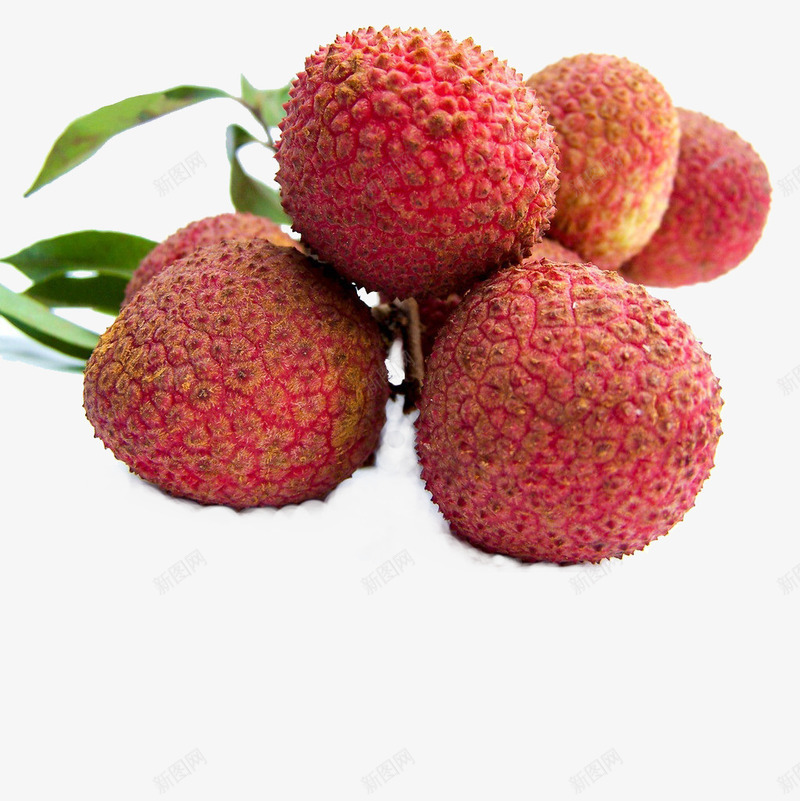 荔枝的果实png免抠素材_88icon https://88icon.com 促进微细血管循环 健忘 改善失眠 神疲 荔枝叶 荔枝的功效 防止雀斑产生