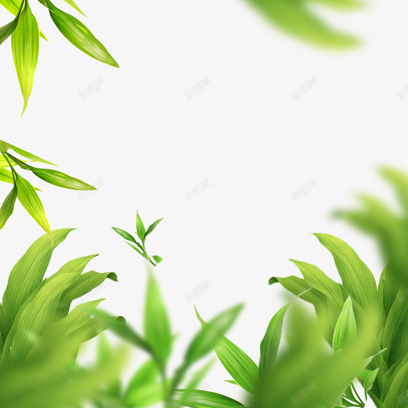 绿色高斯模糊植物茶叶png免抠素材_88icon https://88icon.com 植物 模糊 绿色 茶叶