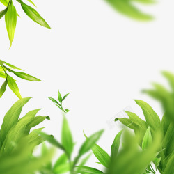 绿色高斯模糊植物茶叶素材