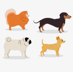 四种类型的小狗侧面素材