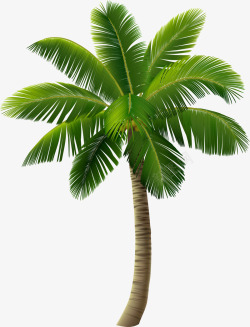 绿色海岛椰树素材