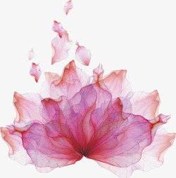 梦幻粉色的散开的花瓣矢量图素材