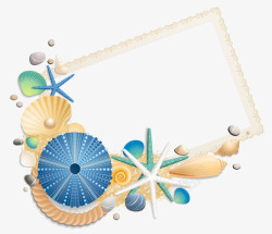 贝壳纹路贝壳装饰边框高清图片