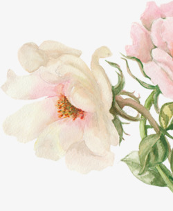 春季手绘粉色水彩花朵素材
