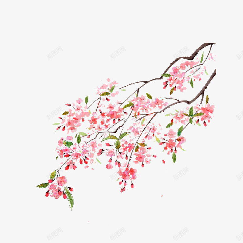 树枝装饰png免抠素材_88icon https://88icon.com 数字 矢量装饰 粉色的花 花 花朵 装饰