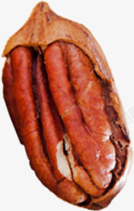 坚果核桃效果食品png免抠素材_88icon https://88icon.com 坚果 效果 核桃 食品