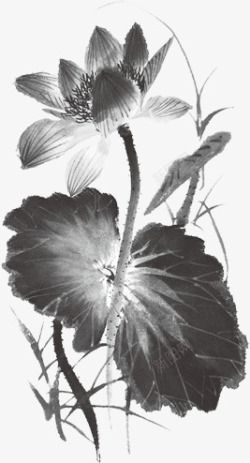 水墨风效果黑色花朵素材