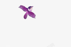 紫色小鸟飞翔展翅动作背景素材