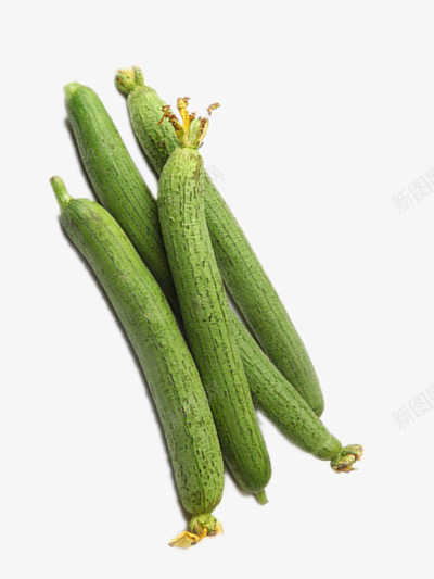 新鲜的丝瓜png免抠素材_88icon https://88icon.com 瓜果 营养 蔬菜 黄花