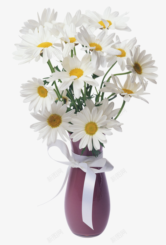 洋甘菊插花png免抠素材_88icon https://88icon.com 插花 洋甘菊 花朵 花瓶 菊花 菊花图案 菊花花束 鲜花