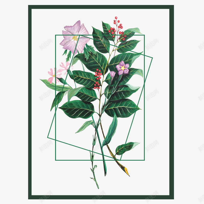 手绘小清新叶子植物花草psd免抠素材_88icon https://88icon.com psd 手绘小清 手绘小清新叶子植物 白色 花草海报免费下载