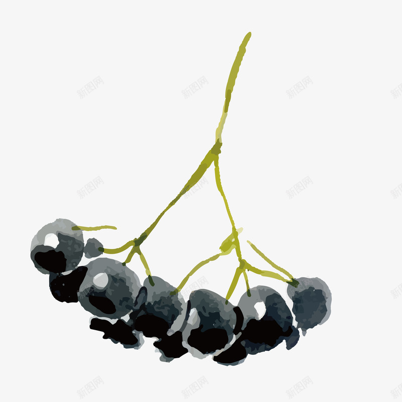蔓越莓水彩手绘图png免抠素材_88icon https://88icon.com 手绘图 桔梗 水彩 水果 美味的 美食 蔓越莓