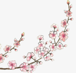 手绘粉红樱花树枝矢量图素材
