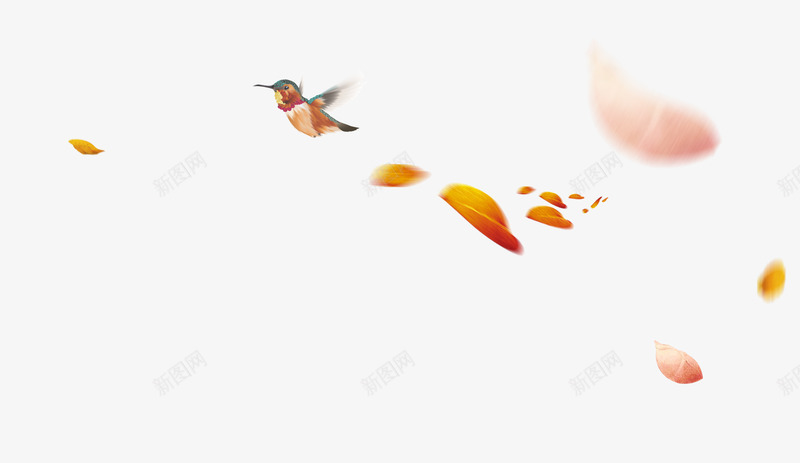 漂浮树叶花瓣png免抠素材_88icon https://88icon.com 地产海报设计素材 小鸟 漂浮树叶 漂浮花瓣