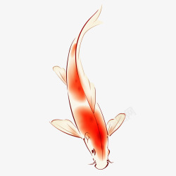 绘画鱼中国风水彩画锦鲤卡通手绘矢量图高清图片
