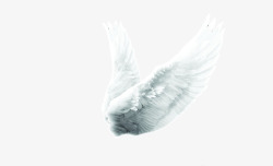 飞翔的羽翼一对展翅飞翔的天使之翼高清图片