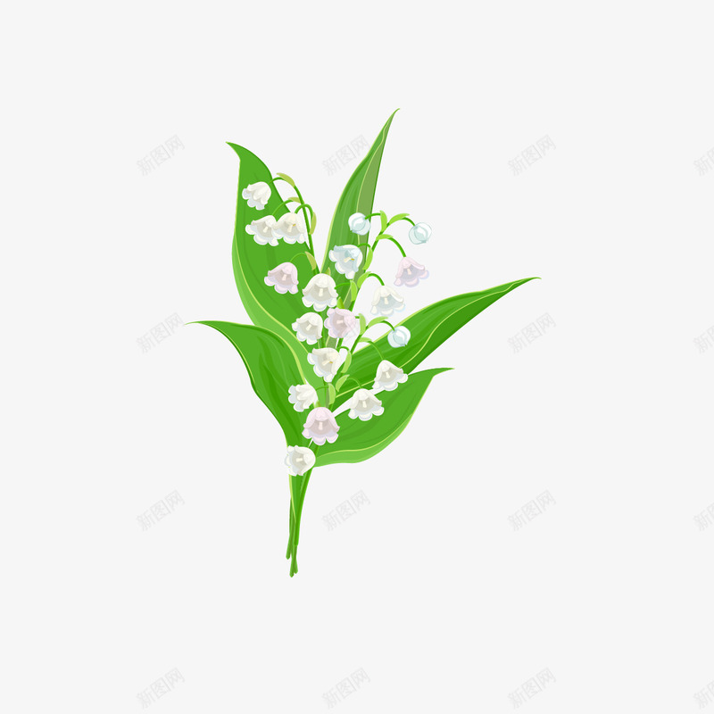 手绘风铃草png免抠素材_88icon https://88icon.com 手绘花草 植物 矢量花草 风铃草