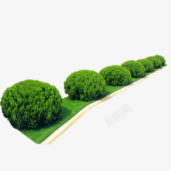 园林装饰素材绿色植物高清图片