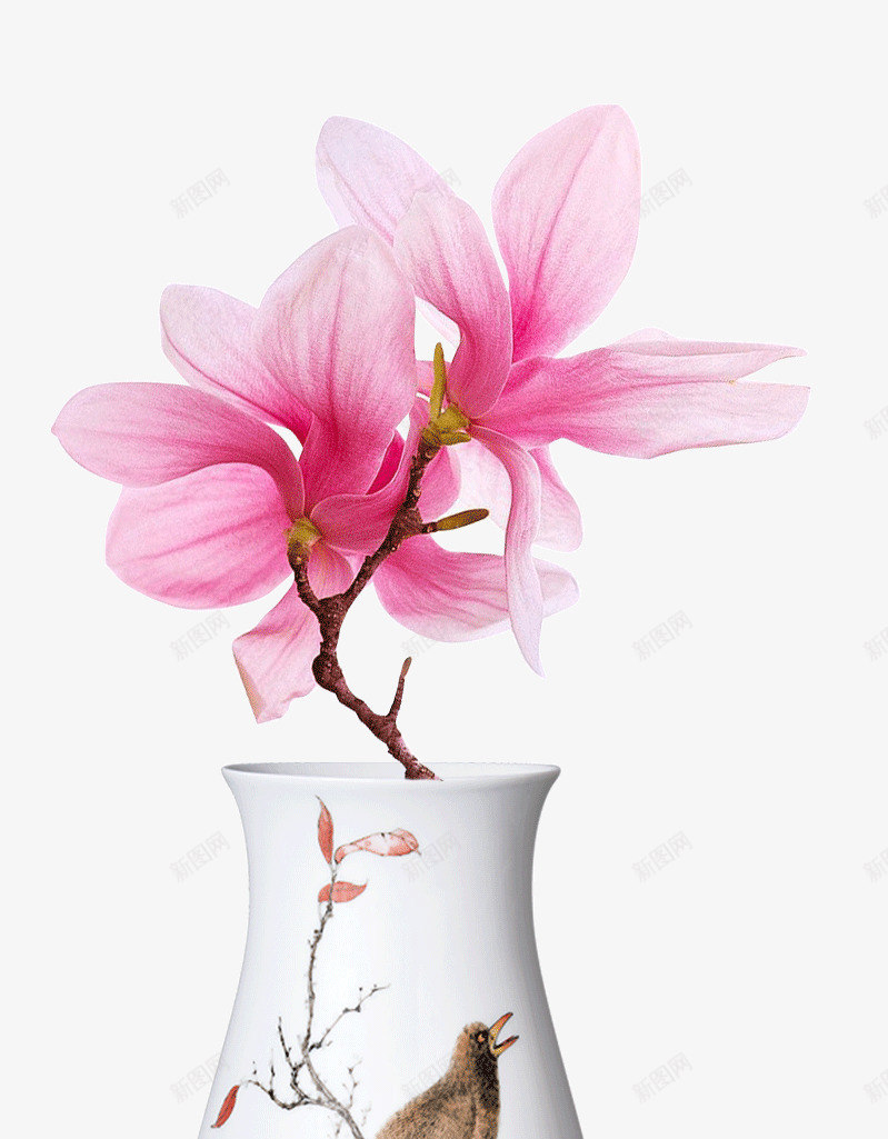 春季花瓶中的花盛开的花psd免抠素材_88icon https://88icon.com 产品实物 春季 春暖花开 盛开的花 粉色的花 花瓶中的花